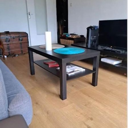 Magnifique Appartement Plein Sud 60 M Carre リモージュ エクステリア 写真