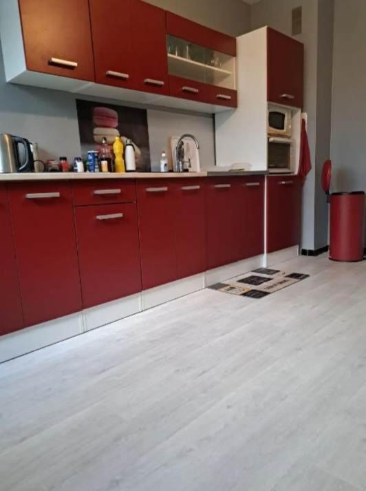 Magnifique Appartement Plein Sud 60 M Carre リモージュ エクステリア 写真